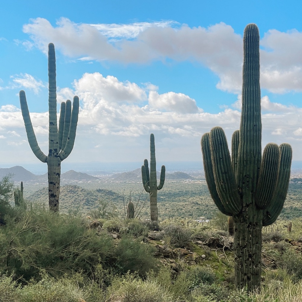 Meet your Posher, Kylie